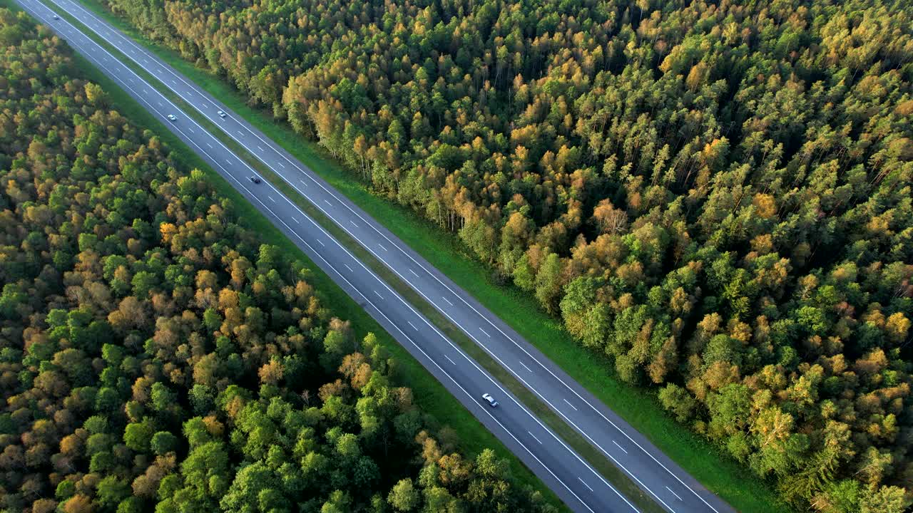 道路交通，鸟瞰图。公路在森林里，秋天有树。视频素材