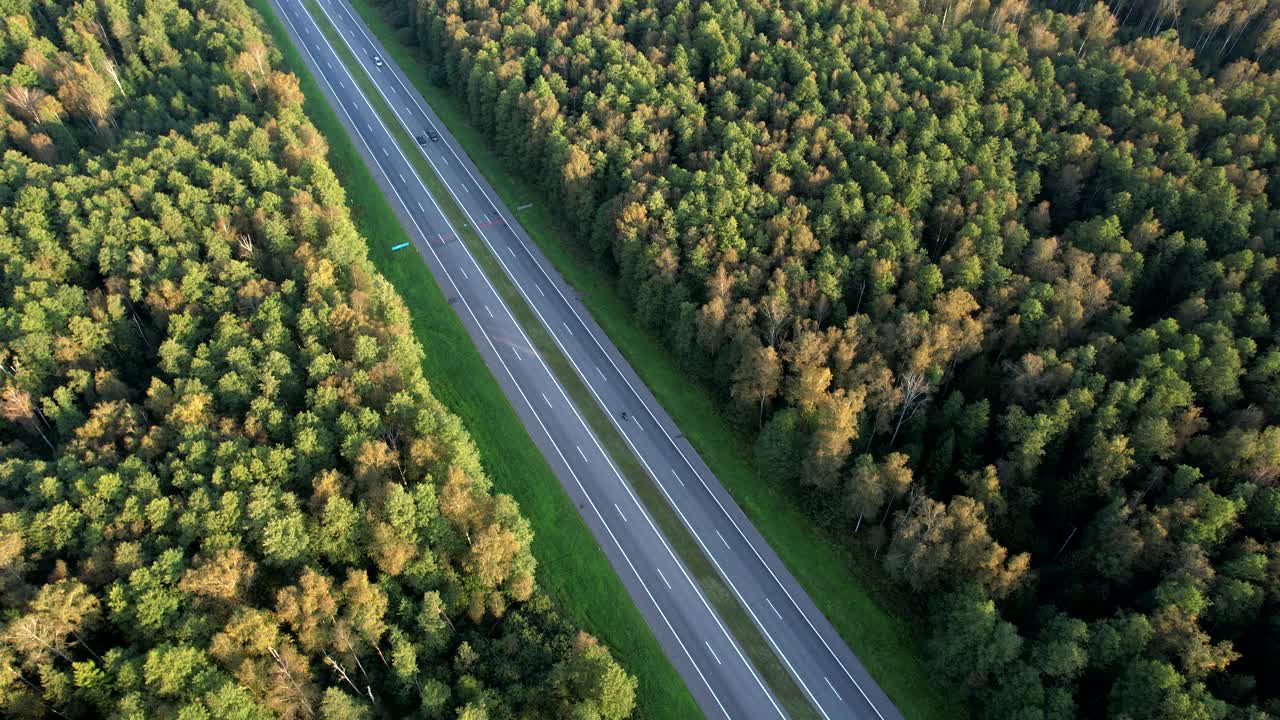 道路交通，鸟瞰图。公路在森林里，秋天有树。视频素材