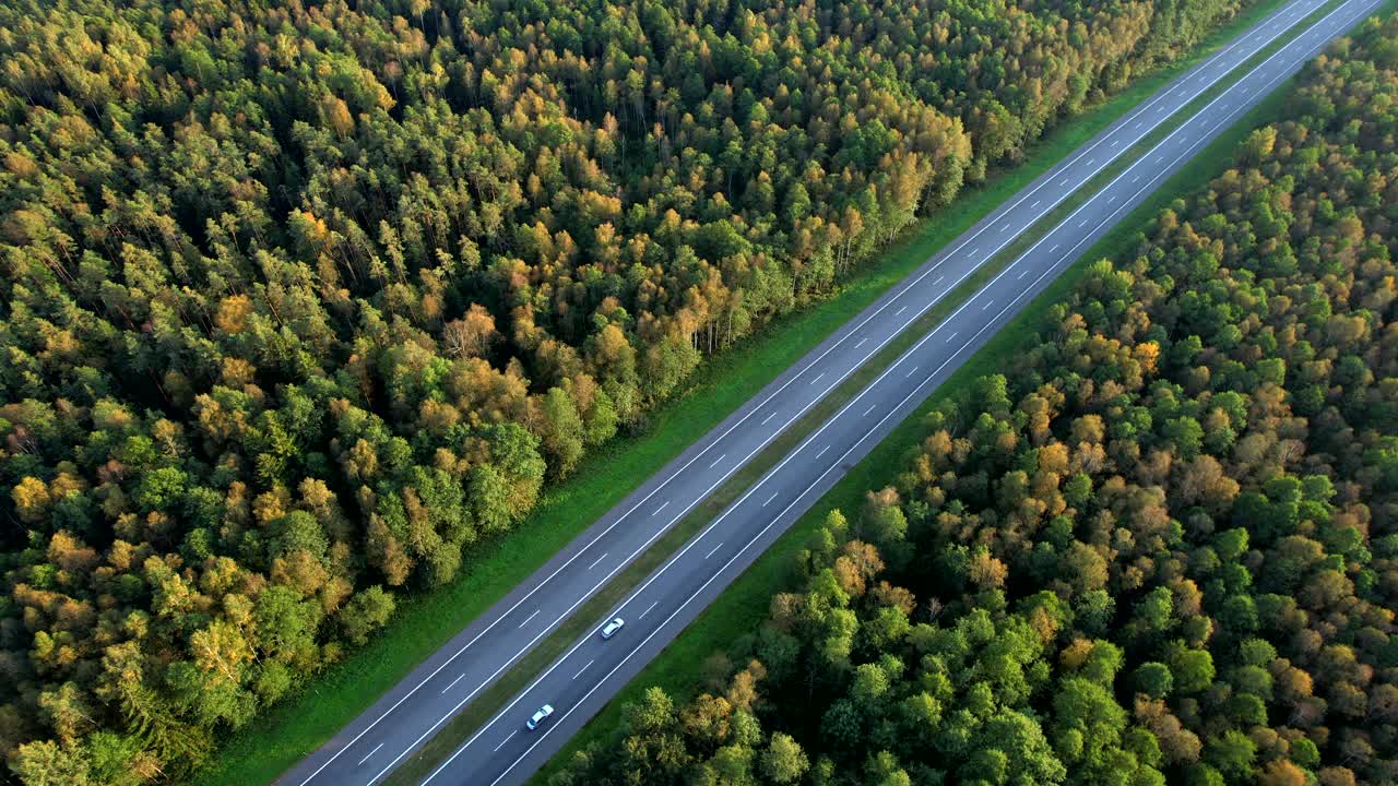 道路交通，鸟瞰图。公路在森林里，秋天有树。视频素材