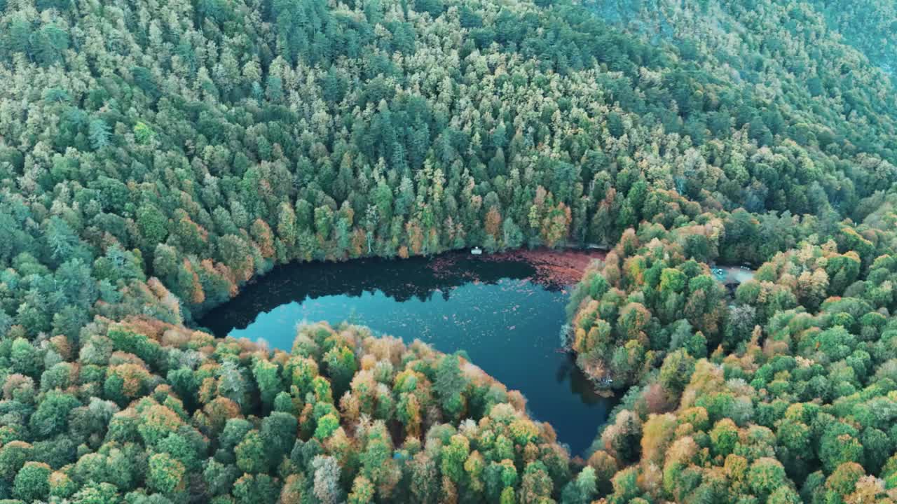 秋季鸟瞰图Yedigöller博鲁，鸟瞰图郁郁葱葱的湖景，绿树成荫的自然景观，郁郁葱葱的自然景观，Yedigöller博鲁土耳其国家公园，鸟瞰图绿湖，木桥水视频素材