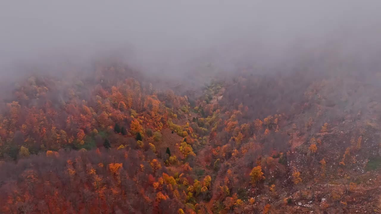 美丽而令人惊叹的航拍照片，在丘陵和岩石山脉上拍摄了五颜六色的绿色，黄色和红色森林，低垂的云和雾。-库存视频视频素材