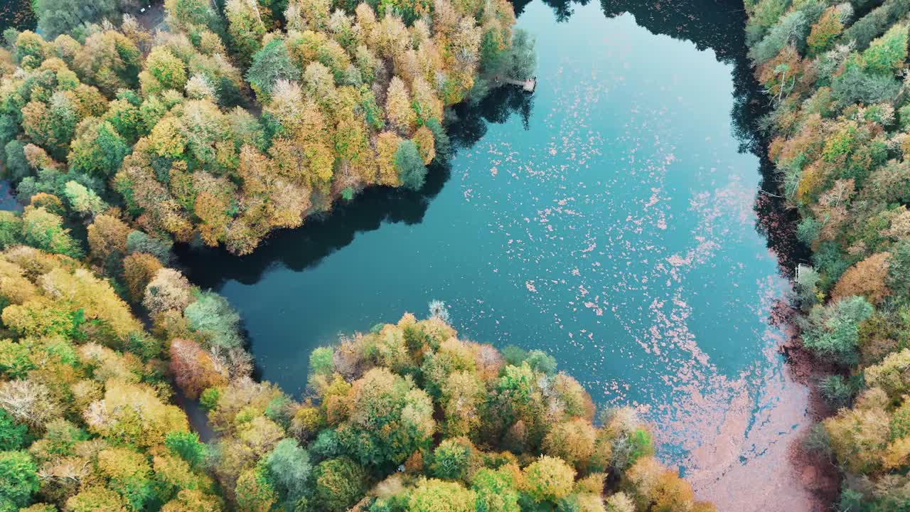 秋天森林里的湖视频素材