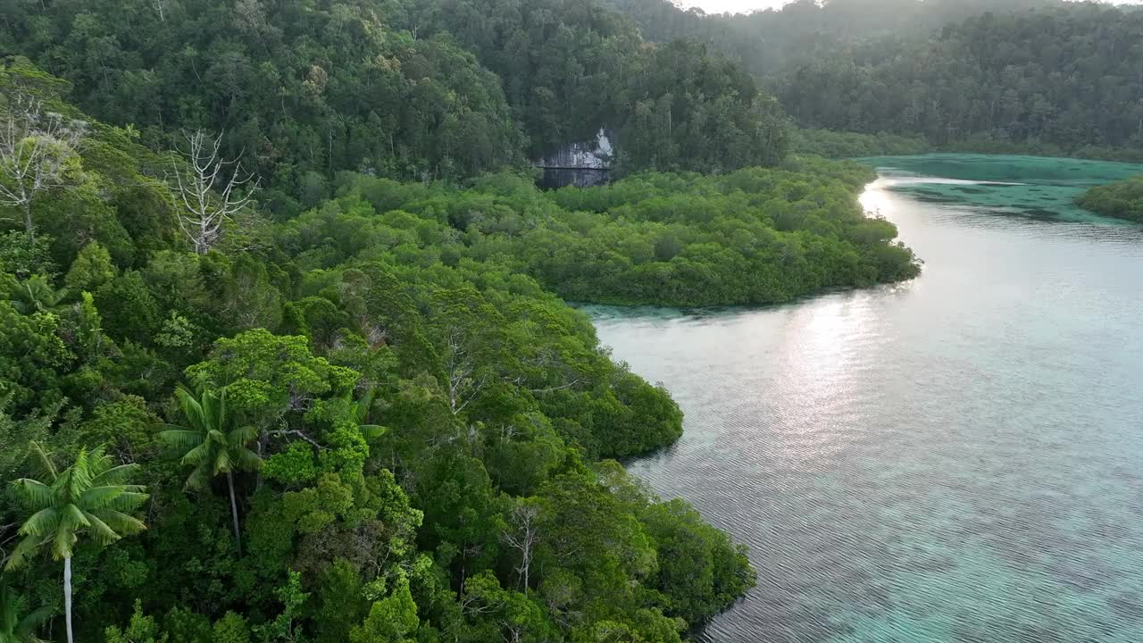 拉加安帕红树林、海洋湖泊和岛屿航拍图视频素材