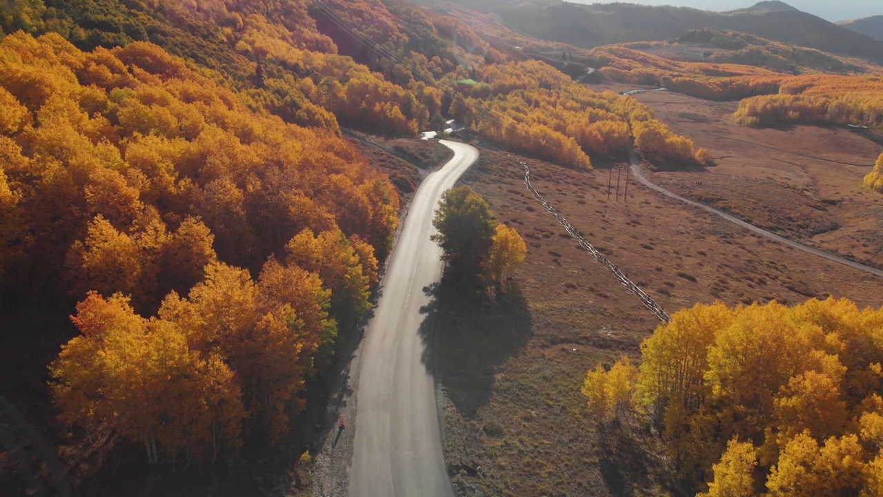 空中回调的道路和金色的白杨树在犹他州的卫兵通道，美国。视频素材