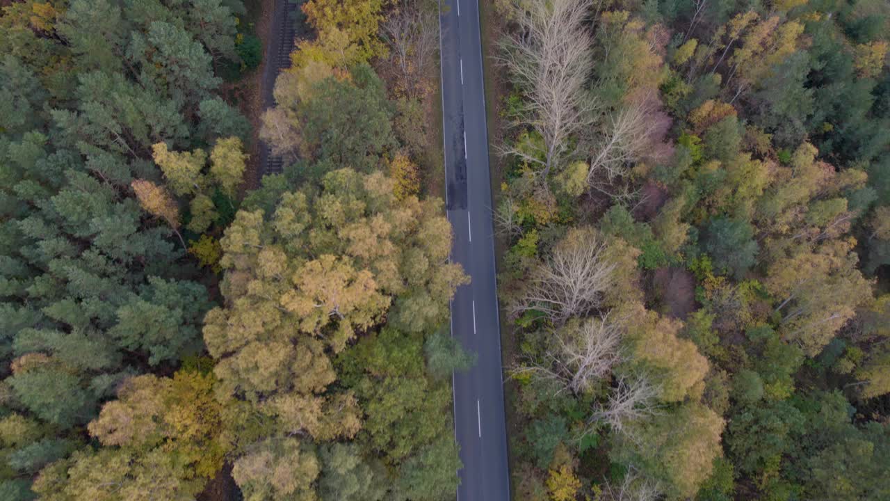 从俯瞰的角度看，汽车行驶在道路上，穿过一片秋林。视频素材