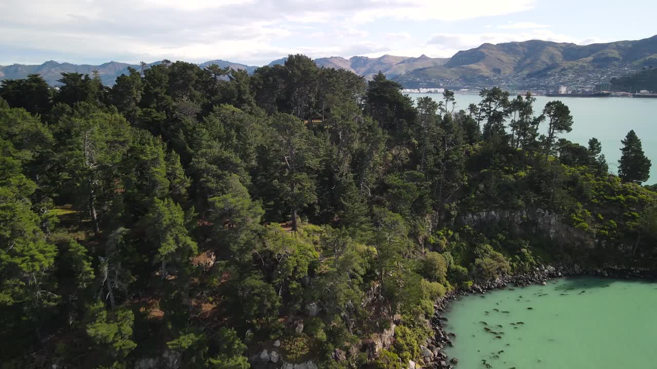 无人机展示了班克斯半岛和利特尔顿镇的沿海景观，丘陵背景。视频素材