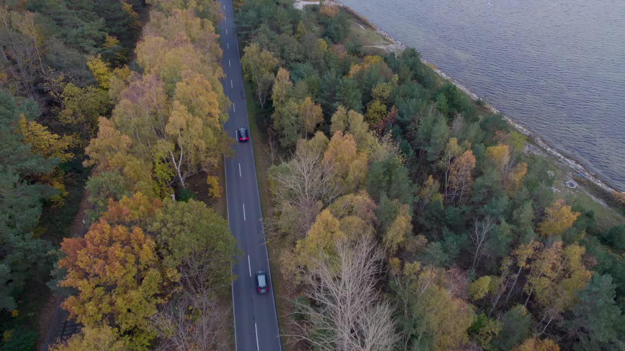 鸟瞰图，一条道路在色彩缤纷的秋天森林和平静的湖泊之间，有车辆。视频素材