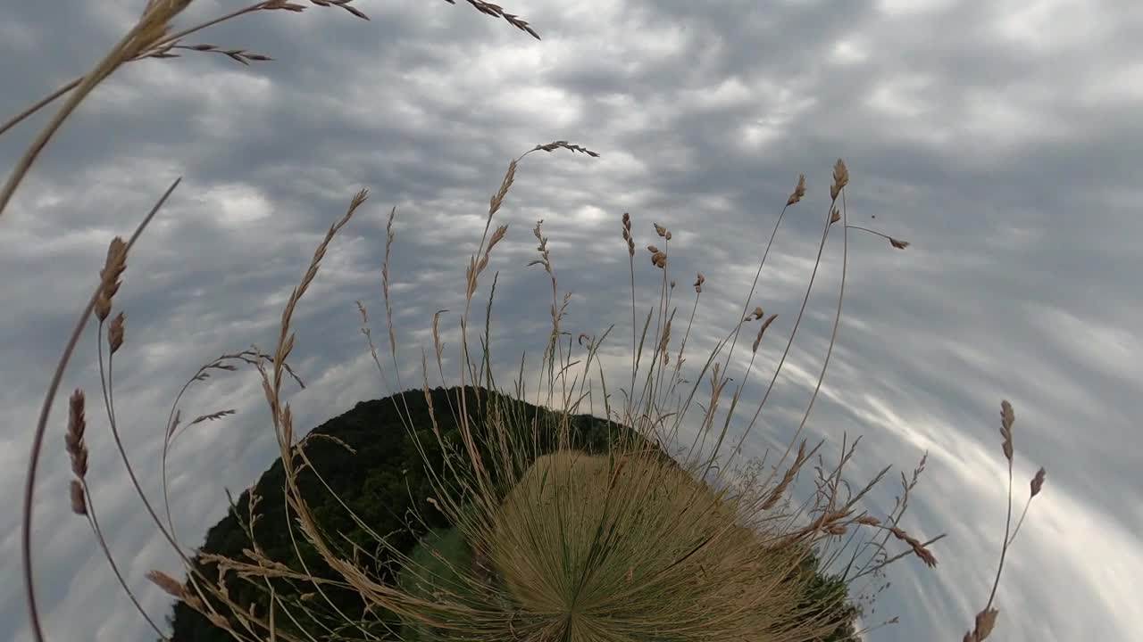 镜子般的童话般的风景与鲜花视频素材