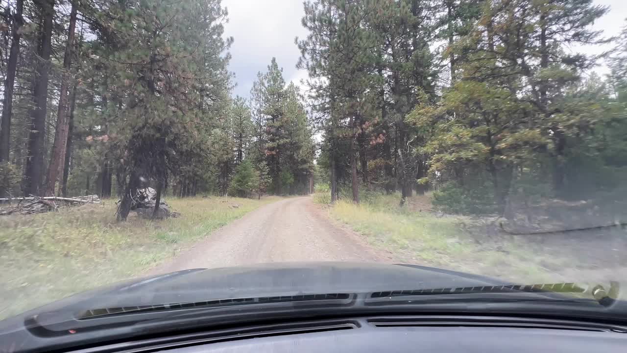 POV -汽车在俄勒冈州穿过森林的土路上行驶。视频素材