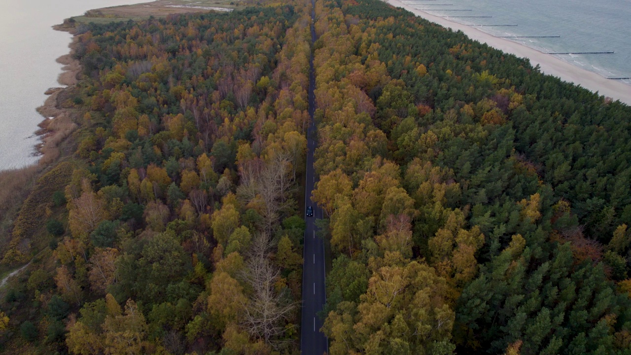 海与森林之间的道路鸟瞰图，赫尔半岛。视频素材