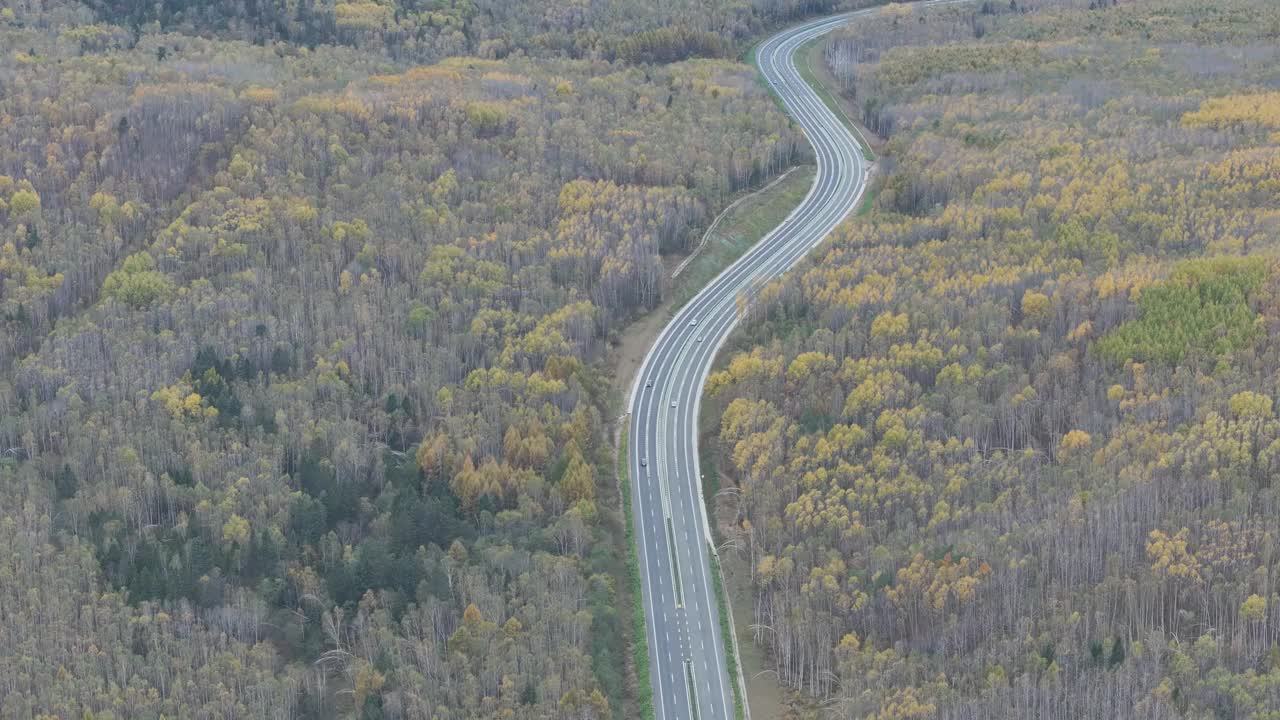 秋季道路鸟瞰图视频素材