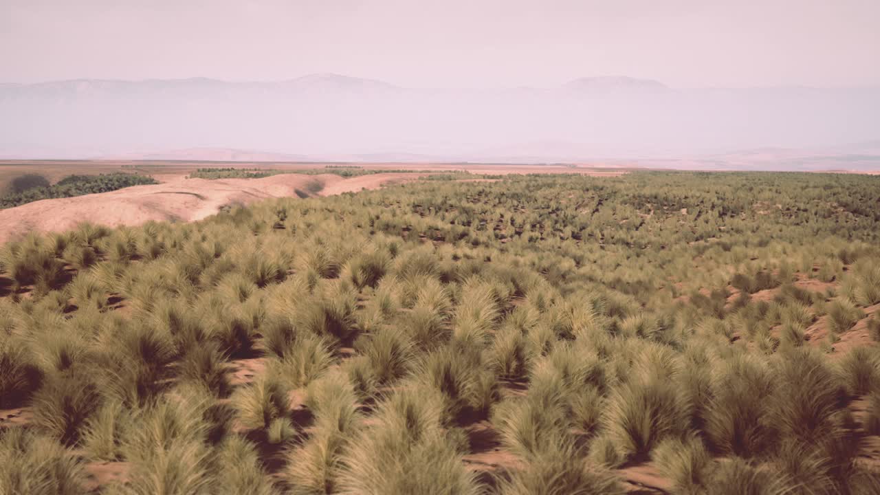 宁静的风景，群山环绕，绿草如茵视频素材