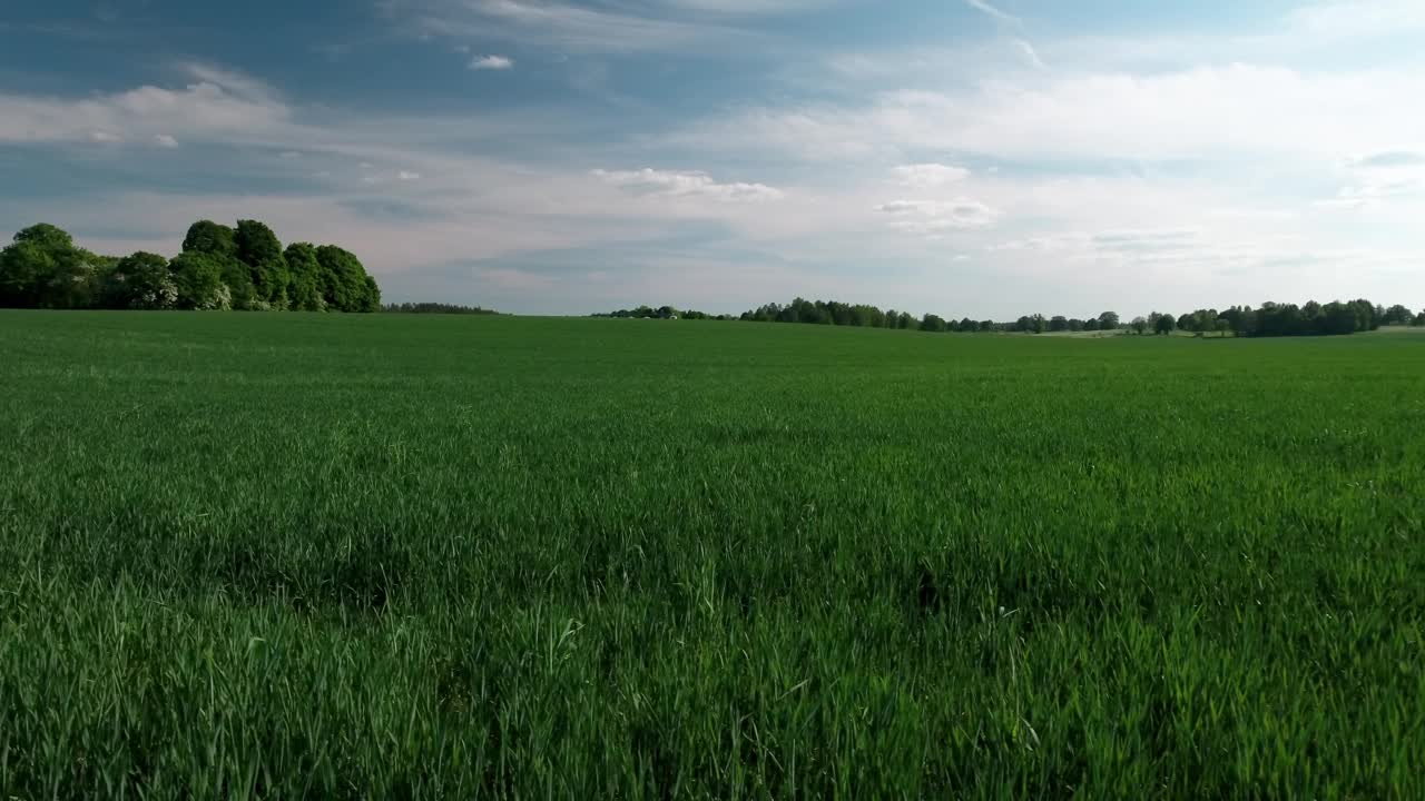 航拍:在晴朗的日子里，在多云的天空下，无人机拍摄的绿色草地风景-林德斯堡，瑞典视频素材