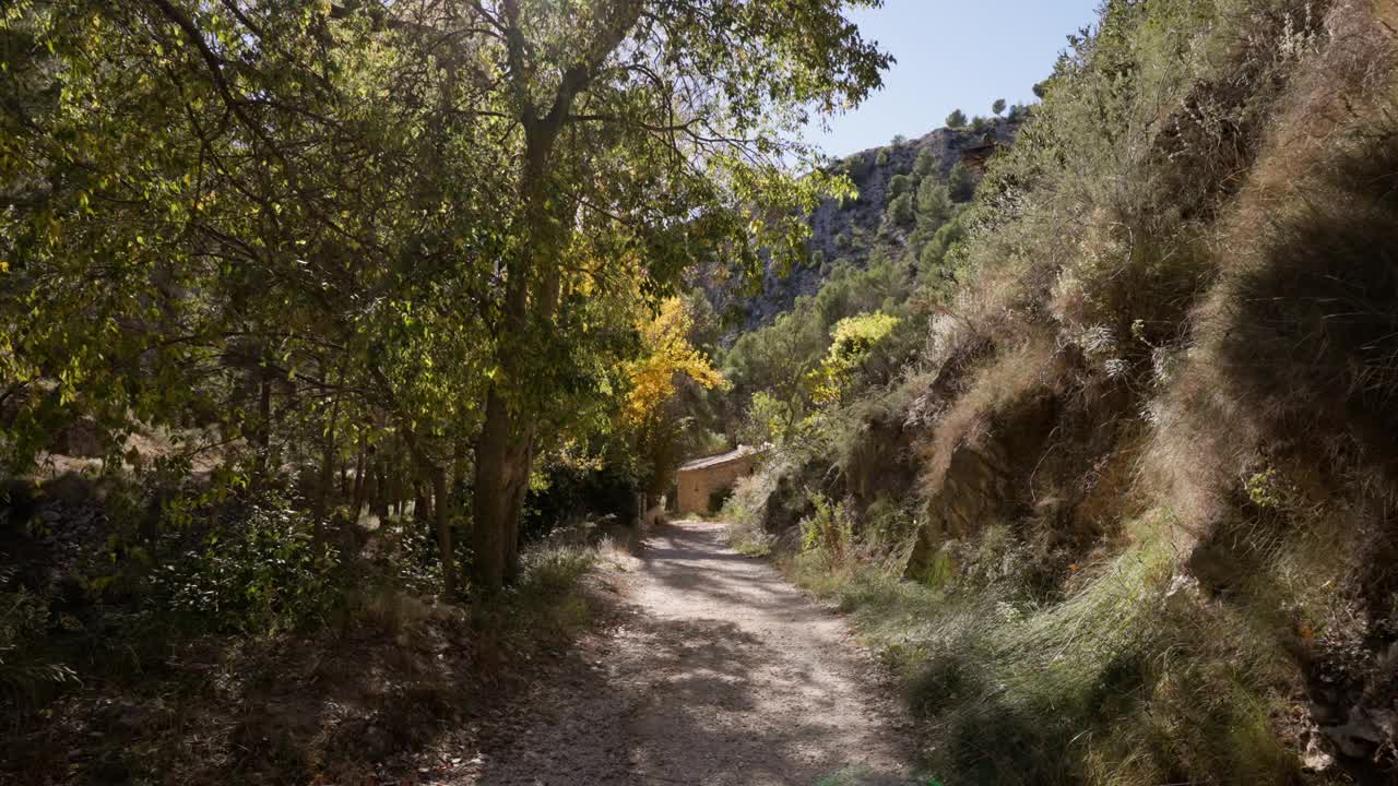 小路在地中海森林中，有杨树、树木，路过附近有一座石屋视频素材