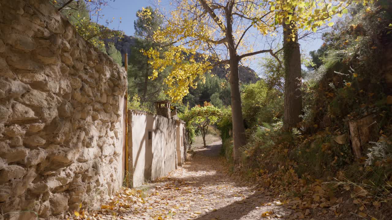 小路在地中海森林中，有杨树、树木，路过附近有一座石屋视频素材