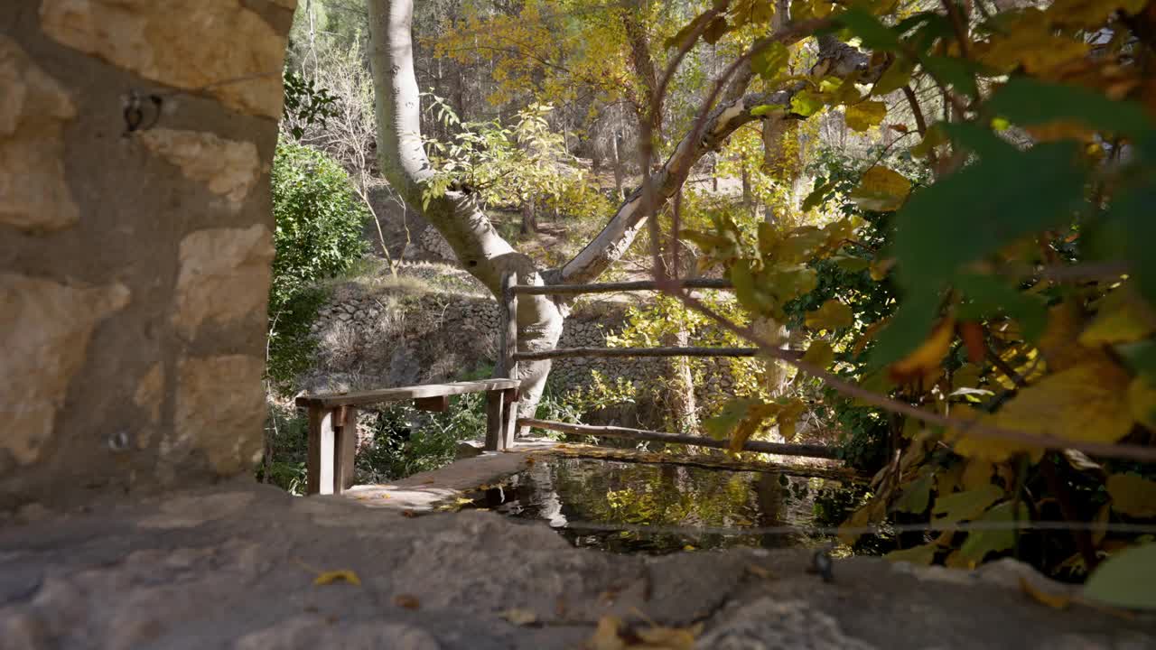 地中海森林中的石沟水塘，秋叶金黄视频素材