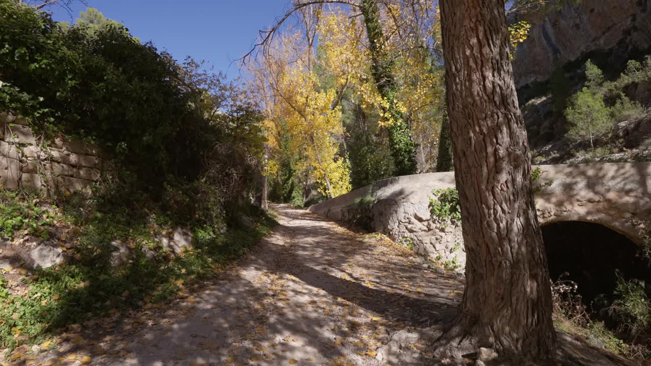 地中海森林中的小径，石墙，白杨，松树，经过附近的石屋和山岩视频素材