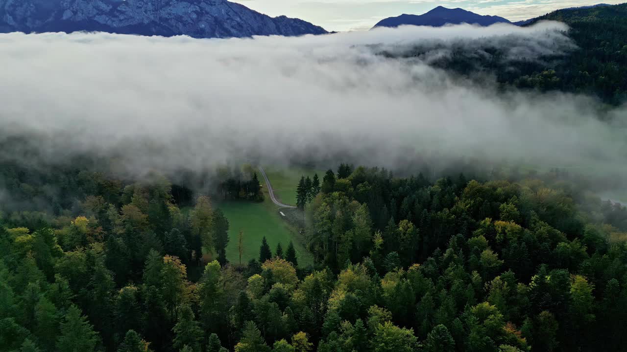 云雾缭绕的山林背景，无人机拍摄，奥地利阿特尔谢视频素材