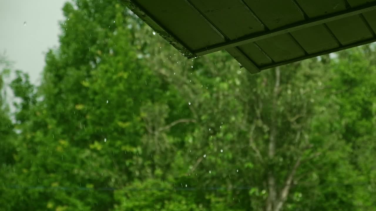 大雨。绿树上的夏雨，草地背景。特写镜头。森林里的雨天。多雨的天气。热带暴雨。抽象的自然背景。极端天气状况。冰雹和雨。阳光视频素材