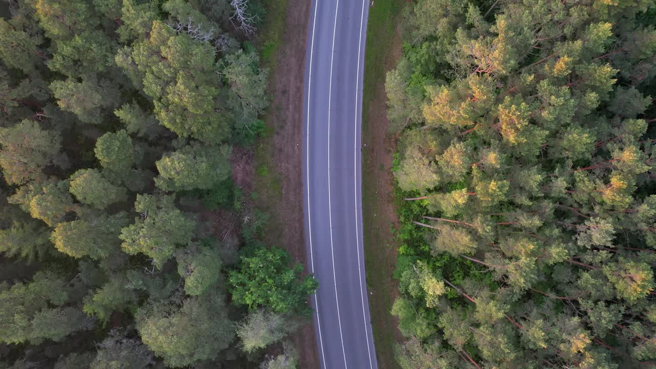 森林道路天线视频下载