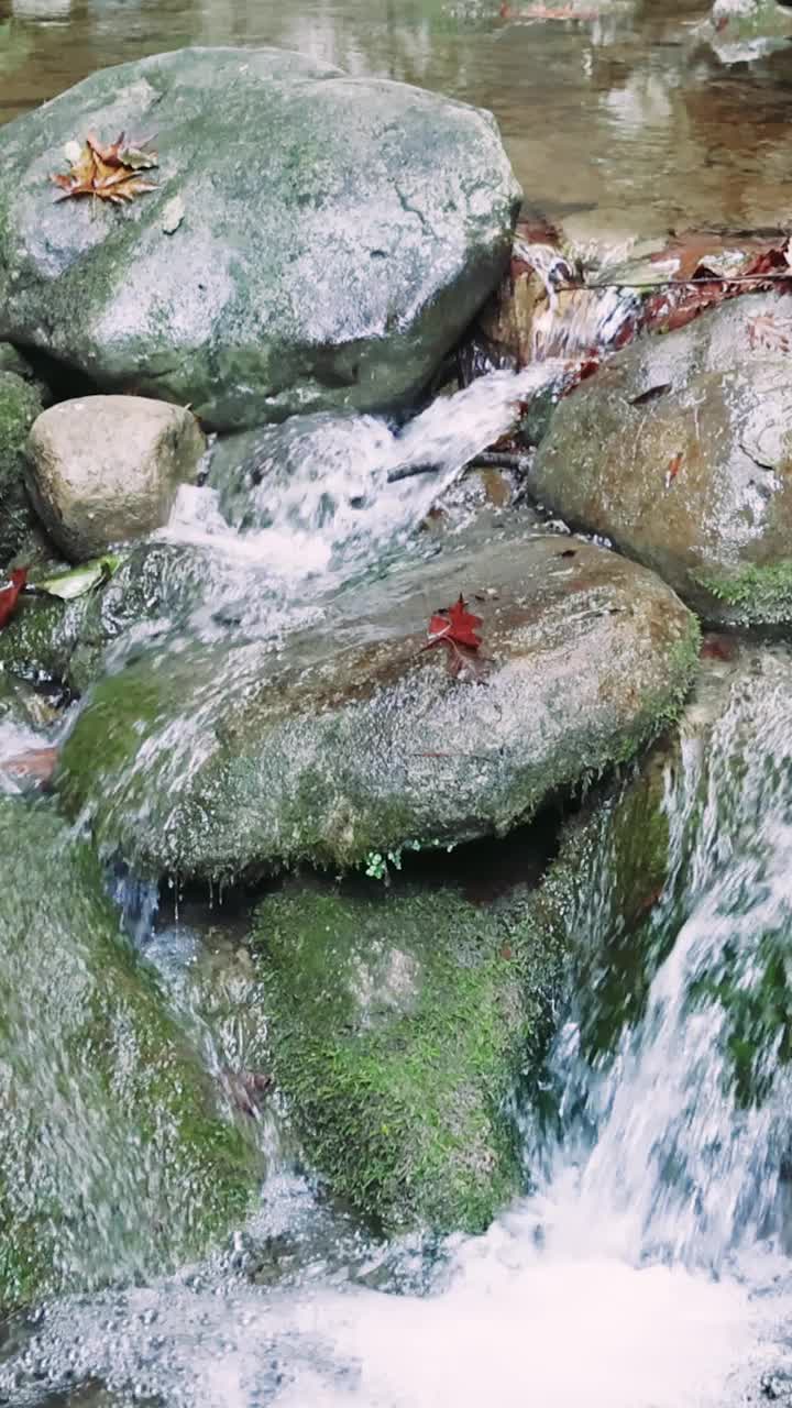 山间小溪轻轻流过石头，一派宁静的自然风光。山溪特写，水抚石，宁静。恬静的山涧，碧水下的石头，大自然的平静视频素材