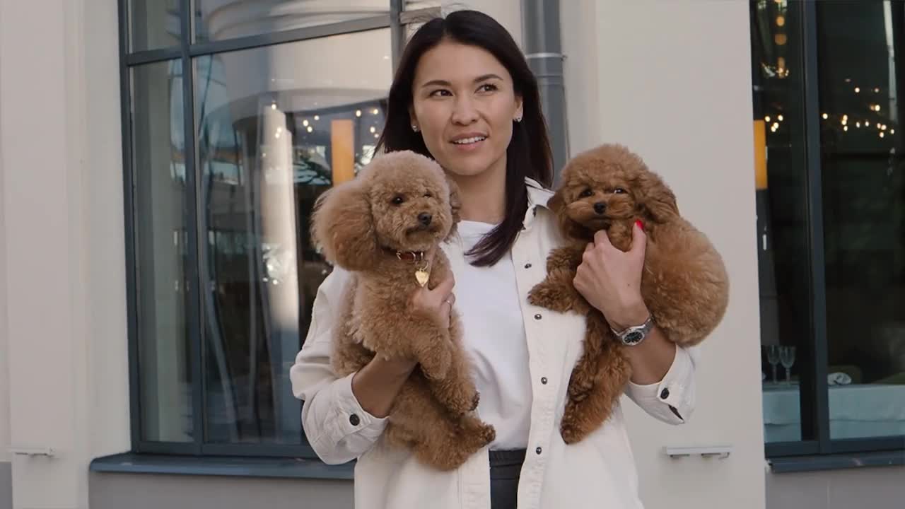 迷人的深色头发的亚洲女人在城市户外，怀里抱着两只可爱的迷你贵宾犬。在城市背景下，宠物和主人之间的快乐纽带视频素材