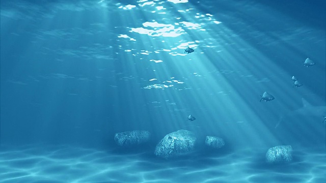水下sceen视频素材画面1