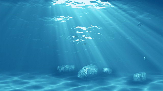 水下sceen视频素材画面2