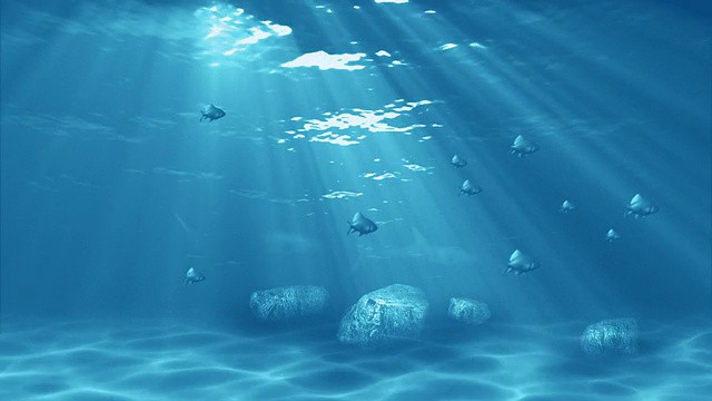 水下sceen视频素材画面3