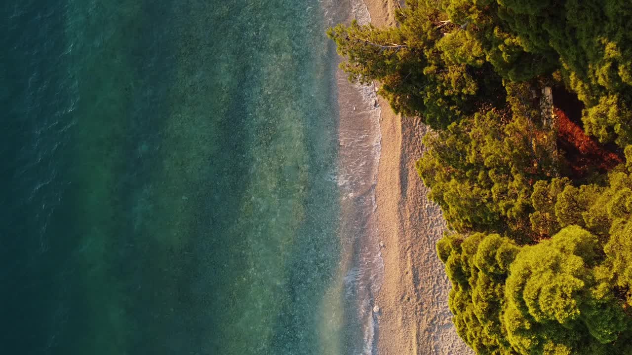 从空中鸟瞰海浪冲刷海岸和森林视频素材