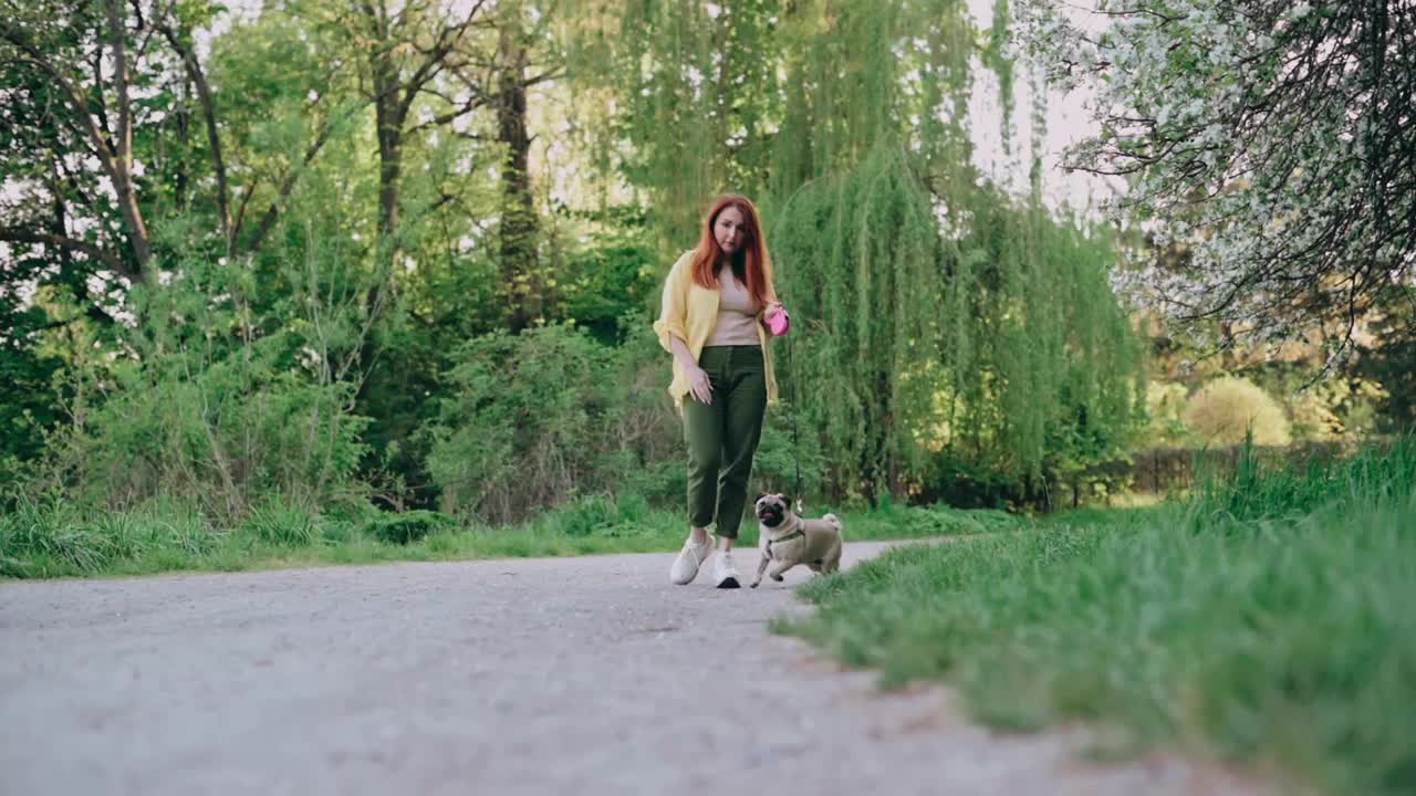 遛狗的女人视频素材