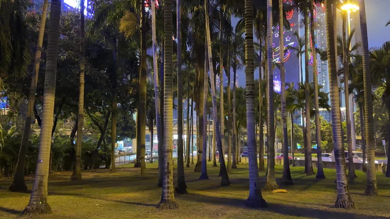 香港市区棕榈树后的夜景交通视频素材