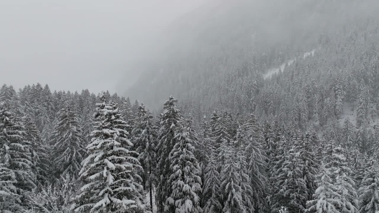 寒冷的高山冬季景观与降雪在鸟瞰图视频下载