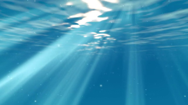 水下的场景视频素材画面2