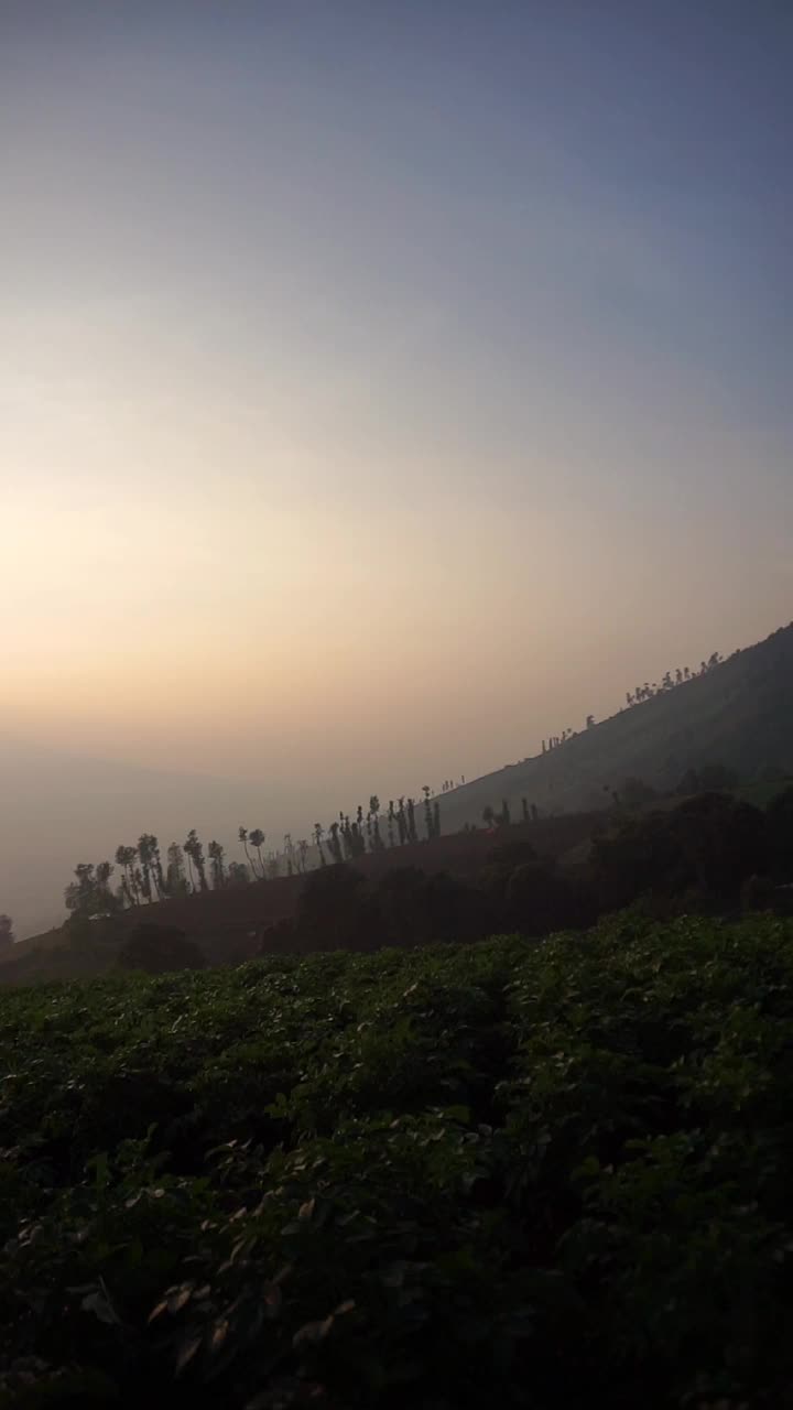 垂直视频，非常美丽的自然景观与晴朗的天空在早晨日出视频素材