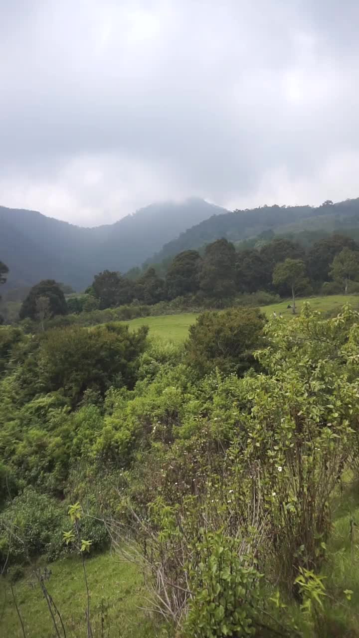 垂直视频，非常美丽的自然景观与晴朗的天空在早晨日出视频素材