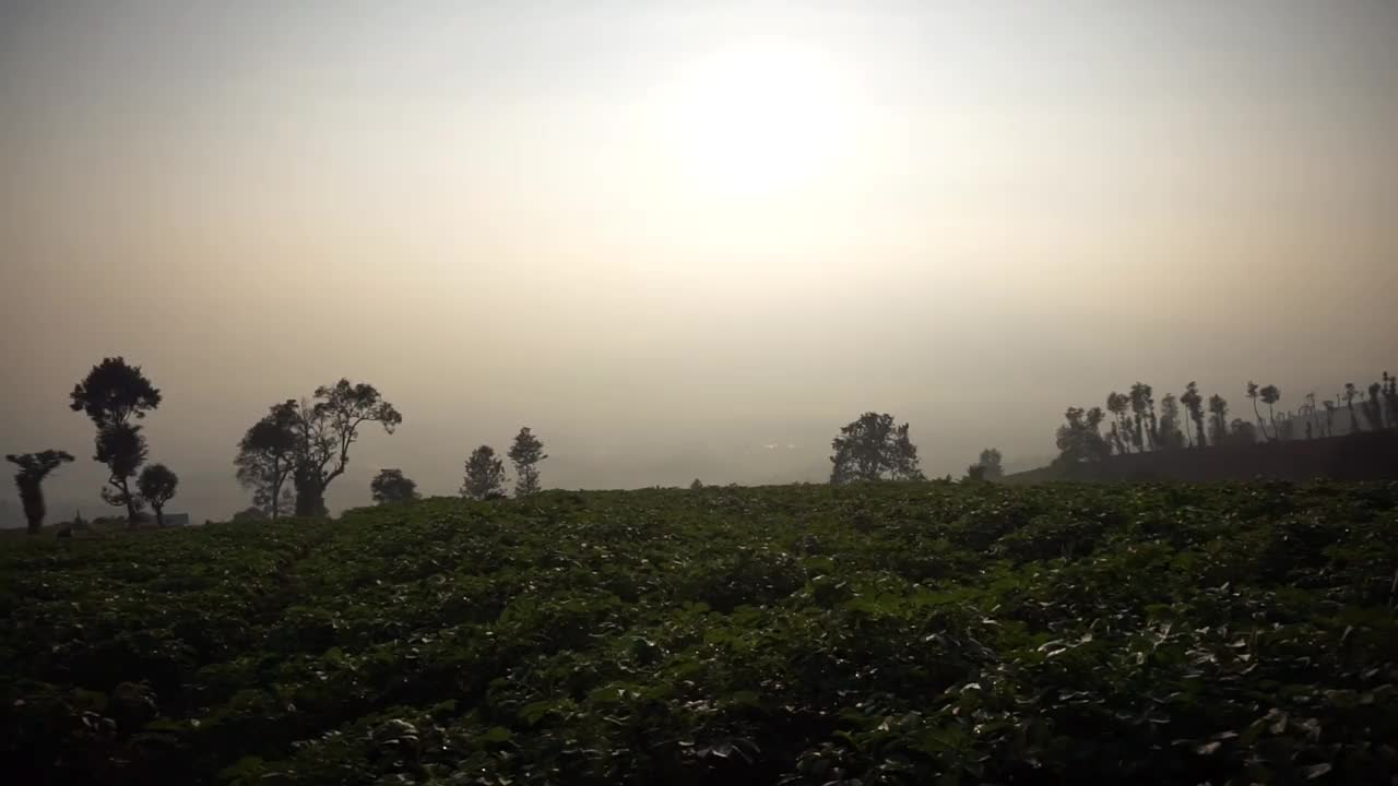 非常美丽的自然景观，早晨日出时天空晴朗视频素材