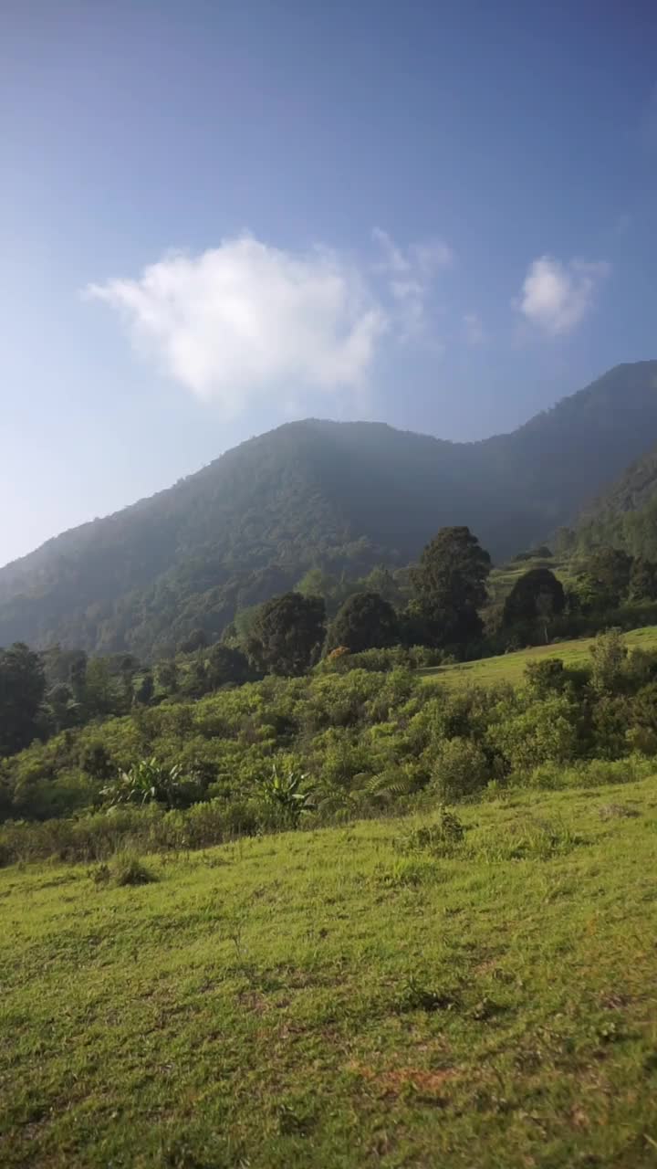 垂直视频，非常美丽的自然景观与晴朗的天空在早晨日出视频素材