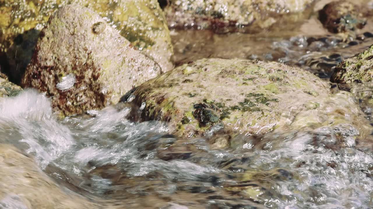 螃蟹在海边的一块石头上跳跃，这是它们的自然栖息地。岸上的每块石头都是螃蟹的乐园。在石头之间，螃蟹相互作用，揭示了海洋的生态系统。视频素材