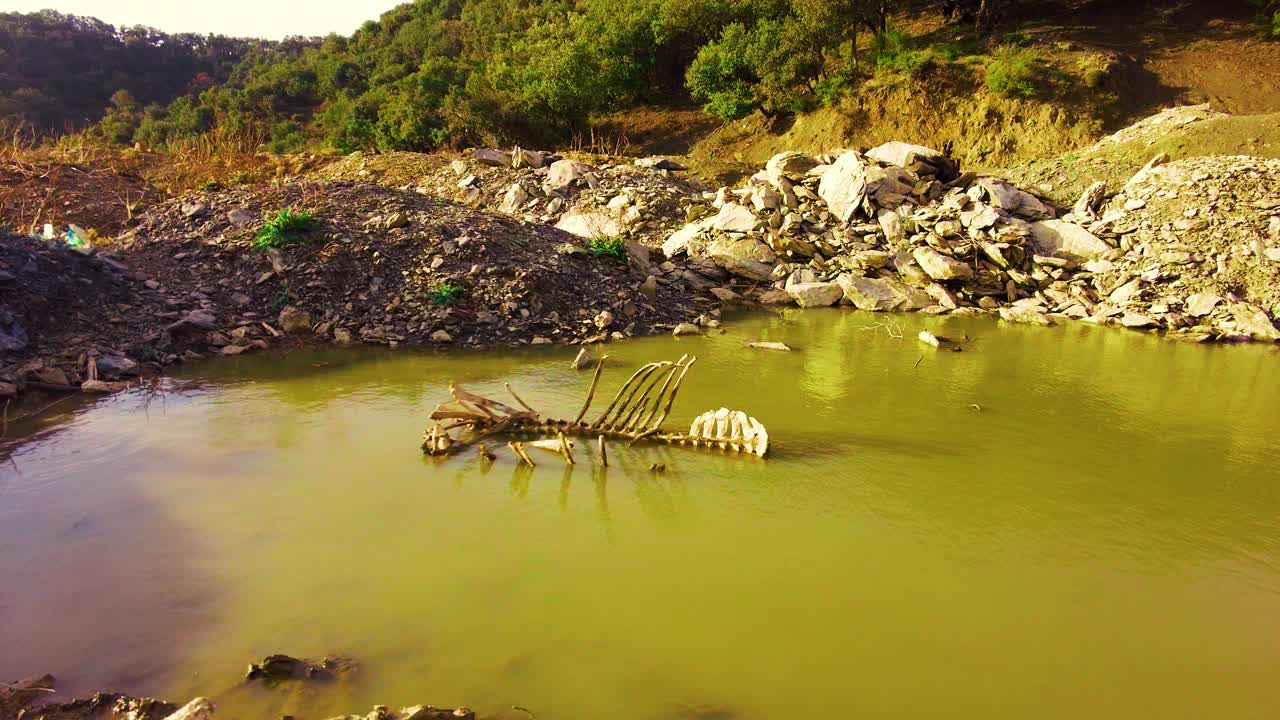 在山顶的一个小湖里发现了一具死马的骨架视频素材