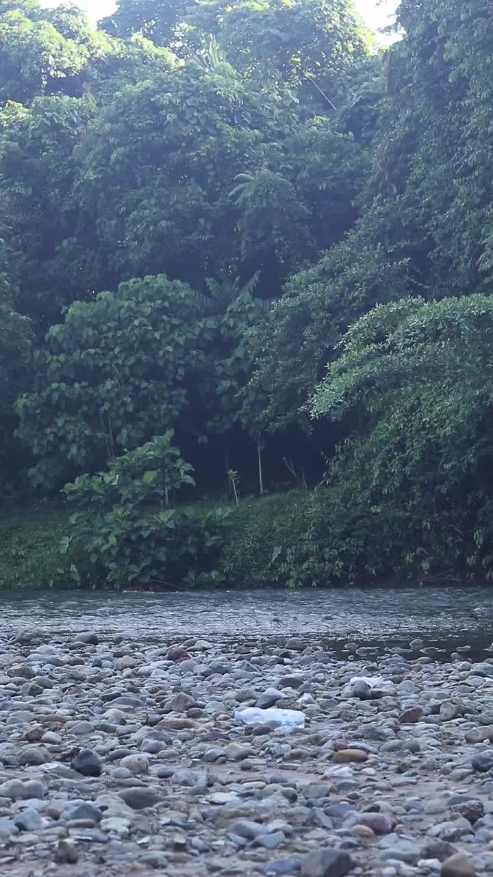 垂直镜头的水流在夏季绿色的自然视频素材