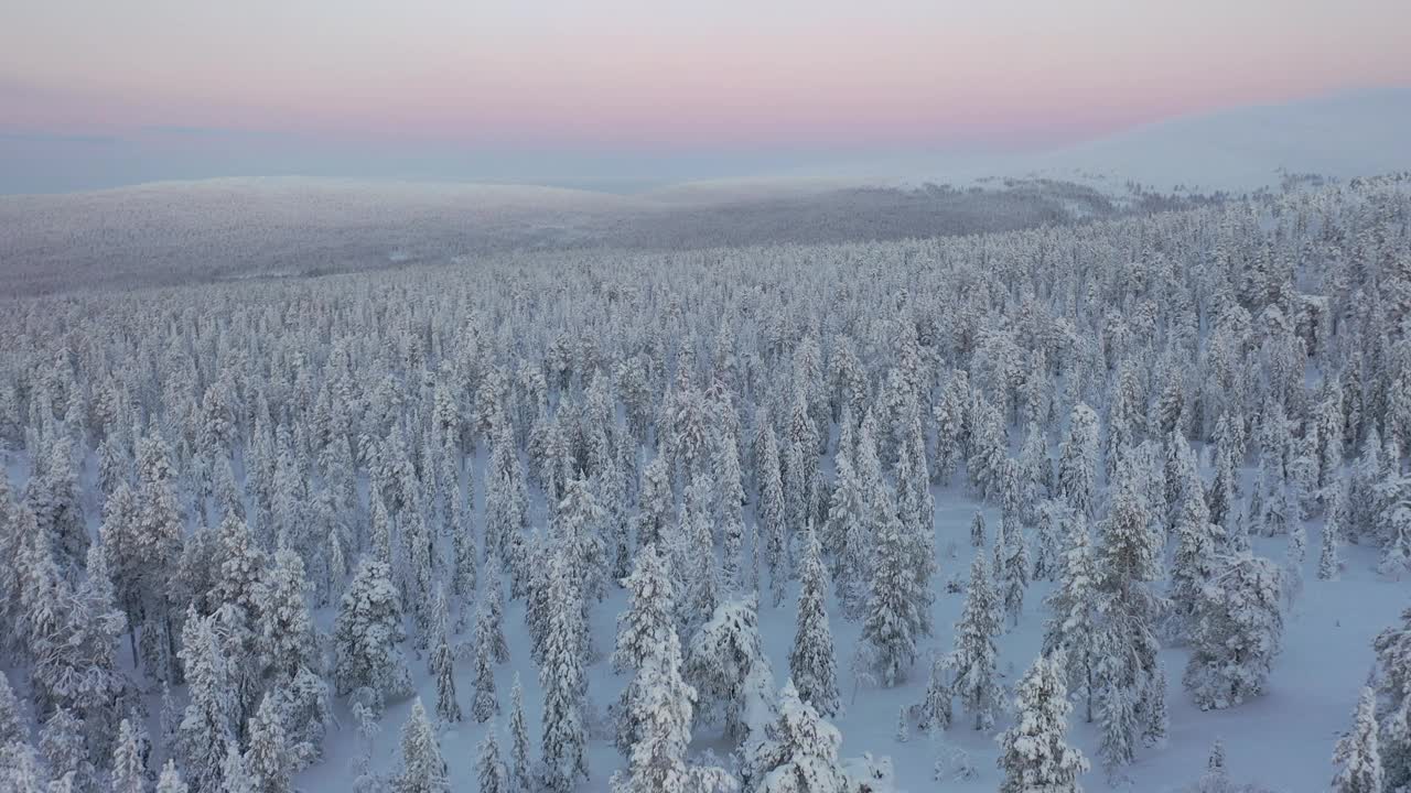 白雪皑皑的冬季森林视频素材