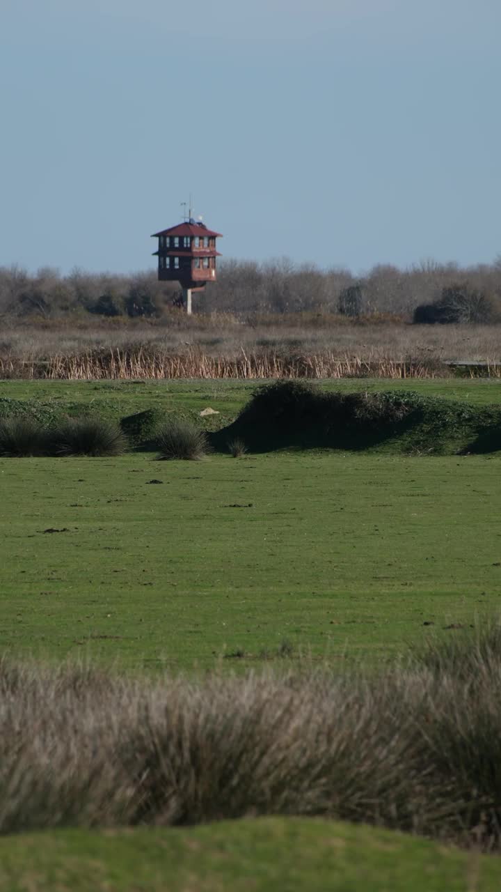 Kızılırmak鸟类保护区的景色视频下载