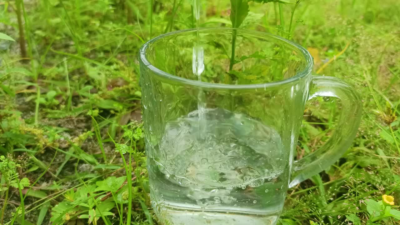 把水倒进玻璃杯里视频素材