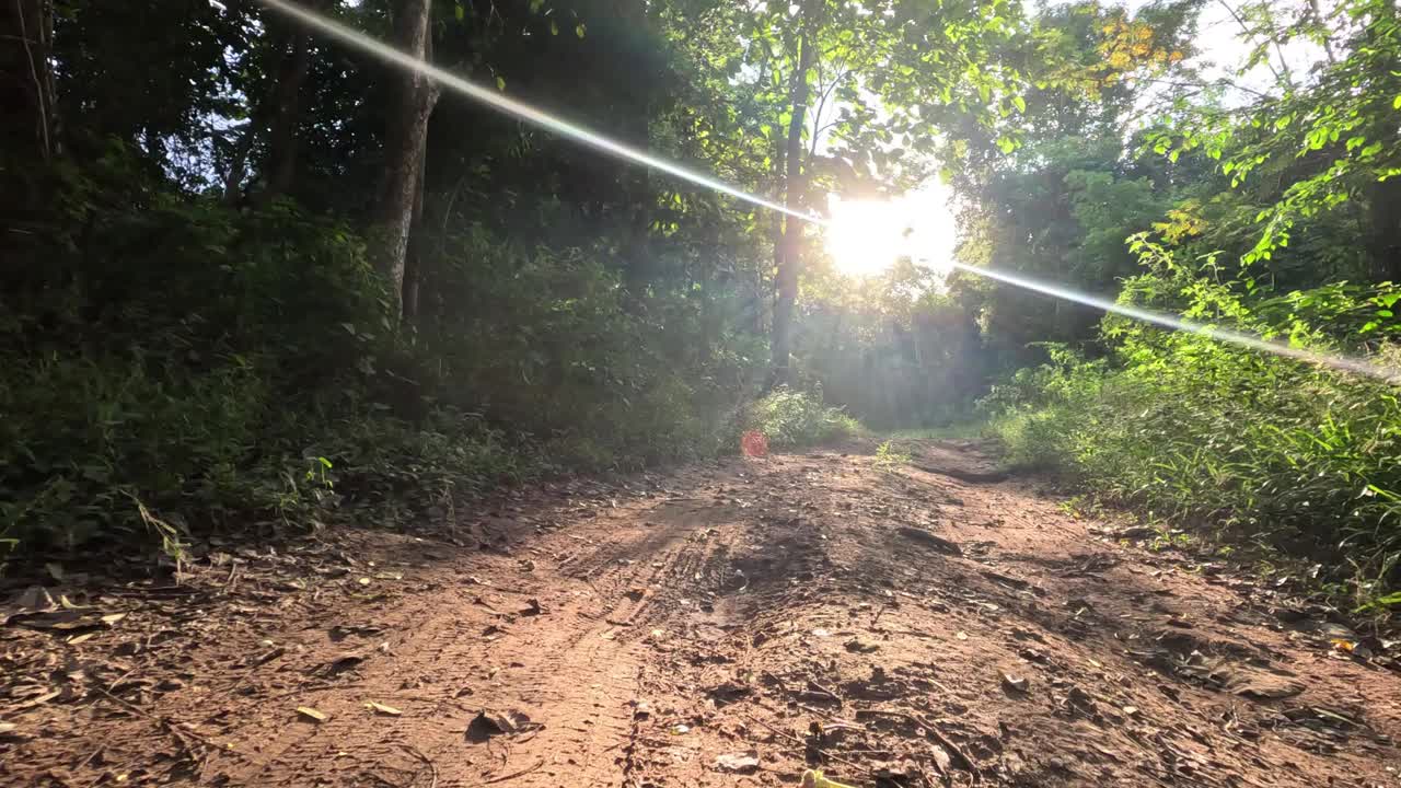 穿越森林小径的旅程视频素材