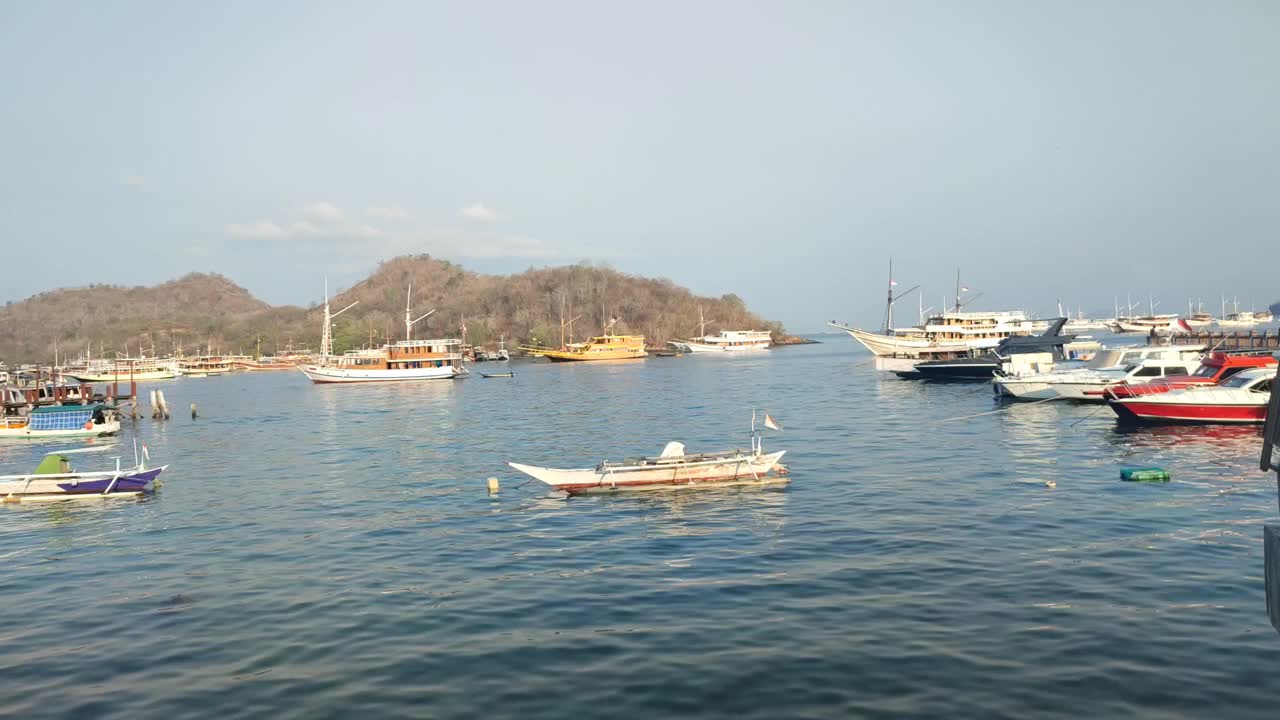 帆船停在码头附近的海面上视频下载