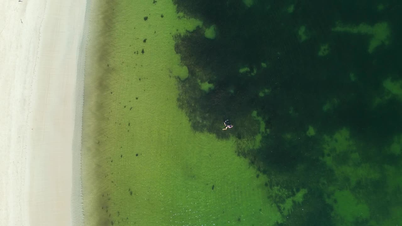 无人驾驶飞机鸟瞰风景的人游泳在海湾海湾白沙滩海洋布劳利岛苔藓点南海岸澳大利亚视频素材