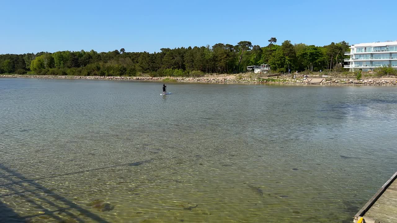 人桨板在平静的湖与森林背景视频素材