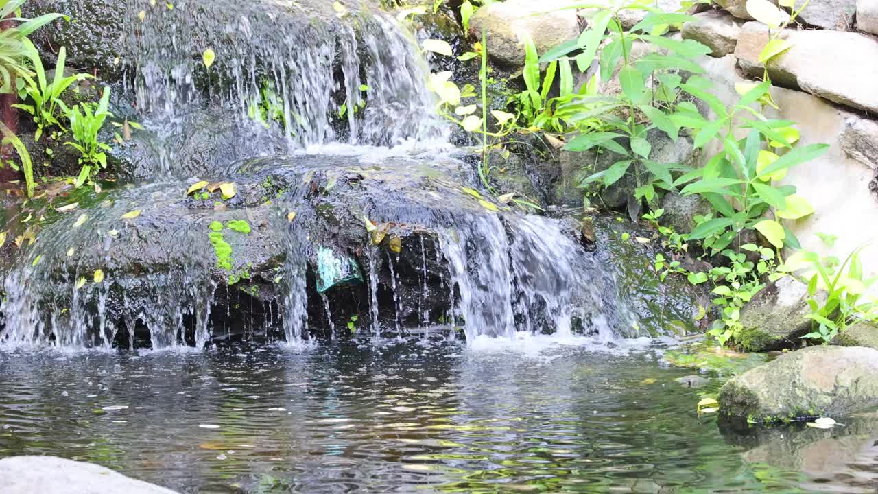 宁静花园瀑布级视频素材