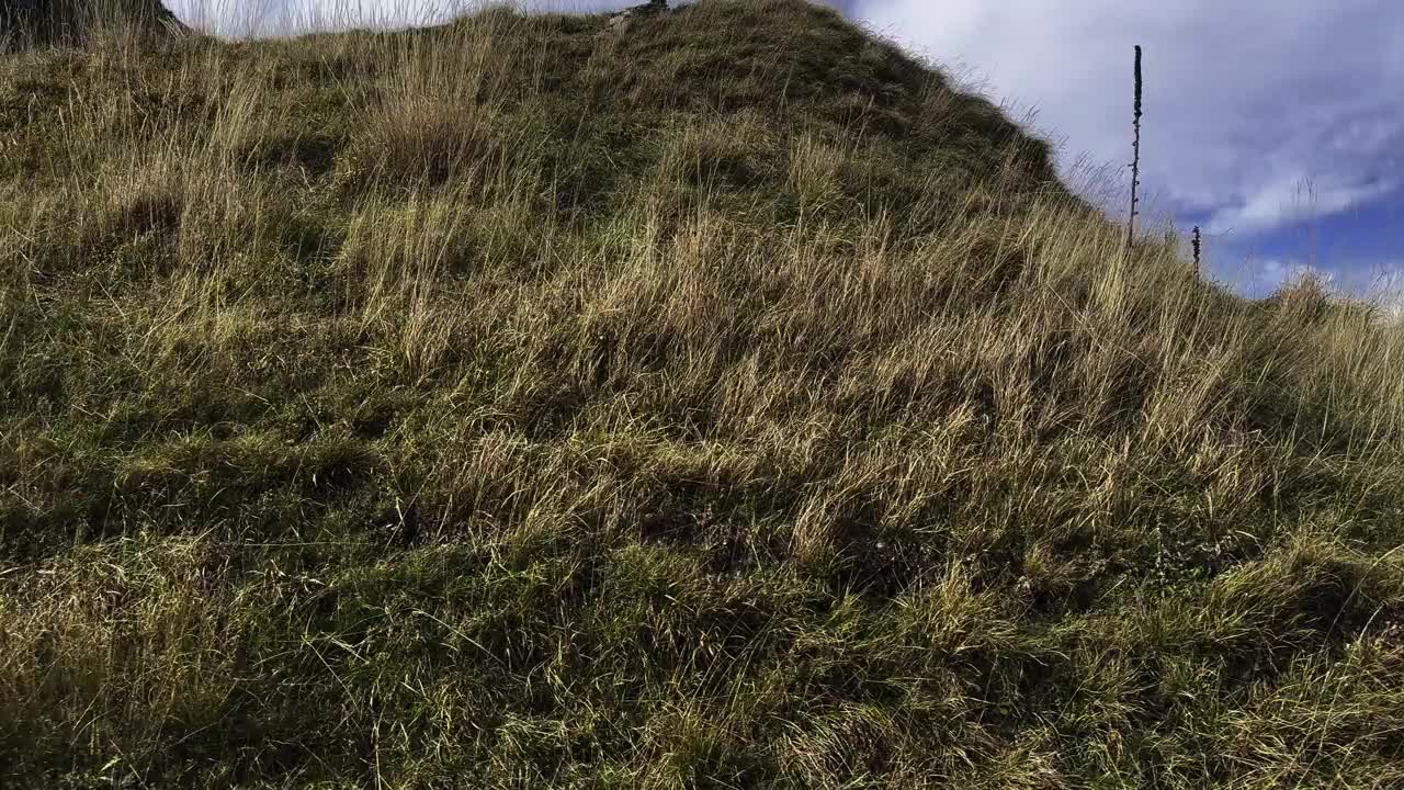 在阳光明媚的日子里，火车视角可以欣赏到美丽的卢加诺湖和白雪覆盖的罗莎山和马特宏峰的山景视频素材